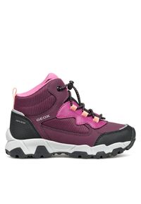 Trekkingi Geox. Kolor: fioletowy. Sport: turystyka piesza