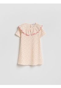 Reserved - Sukienka z kołnierzykiem - złamana biel. Materiał: dzianina #1