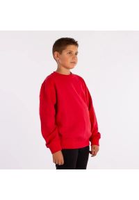 Softee - Bluza dziecięca SOFTEE Owen. Kolor: czerwony