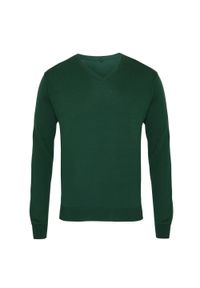 PREMIER - Sweter Męski Z Dzianiny Z Dekoltem V. Kolor: zielony. Materiał: dzianina