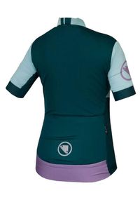 ENDURA - Koszulka rowerowa damska Endura FS260 Print W. Kolor: fioletowy, niebieski, wielokolorowy. Wzór: nadruk. Sport: kolarstwo