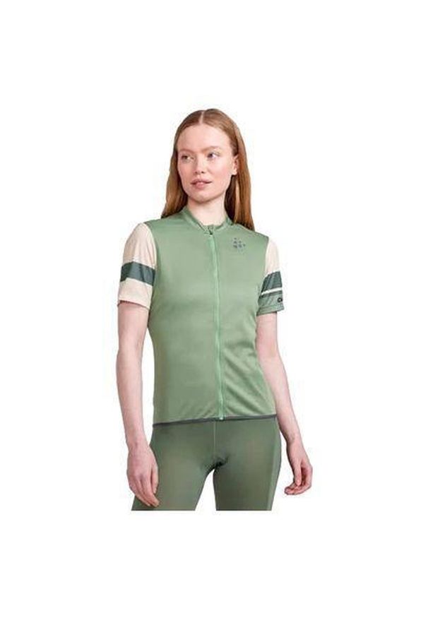 Damski jersey Craft Core Endure. Kolor: szary, beżowy, wielokolorowy, zielony. Materiał: jersey. Sport: outdoor, kolarstwo