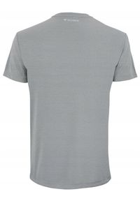 TECNIFIBRE - Koszulka T-shirt tenisowa męska Tecnifibre Team Tech Tee. Kolor: szary. Sport: tenis