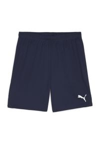 Szorty Puma TeamGloal. Kolor: niebieski. Materiał: materiał. Sport: piłka nożna #1