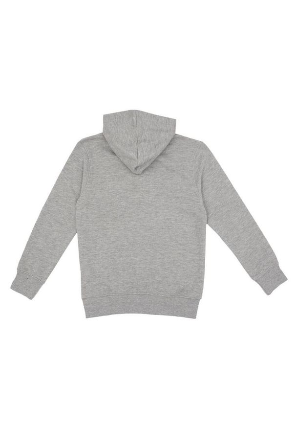 LEONE 1947 APPAREL - Podstawowa bluza dziecięca z kapturem. Typ kołnierza: kaptur. Kolor: szary. Sport: joga i pilates