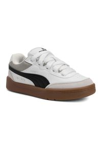 Puma - Buty męskie PUMA Park Lifestyle SK8. Kolor: biały, wielokolorowy, szary