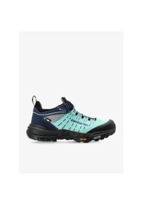 Buty turystyczne damskie Zamberlan Circe GTX Low. Kolor: zielony