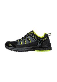 ALPINE PRO - Buty trekkingowe męskie Alpine Pro kerince. Zapięcie: sznurówki. Kolor: wielokolorowy. Materiał: materiał, tkanina, syntetyk. Szerokość cholewki: normalna. Sport: turystyka piesza