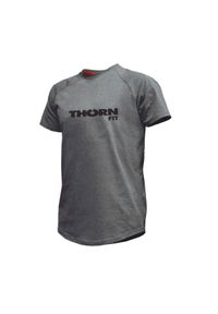 Koszulka na siłownię męska THORN FIT Team. Kolor: szary. Sport: fitness #1