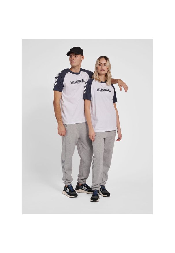 Koszulka Hummel Legacy Blocked. Kolor: biały. Materiał: prążkowany, bawełna. Długość rękawa: raglanowy rękaw