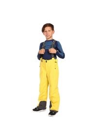 Kilpi - Dziecięce spodnie narciarskie KILPI MIMAS-J. Kolor: żółty. Sport: narciarstwo #1