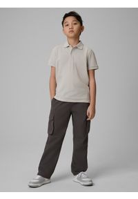 4f - 4F Koszulka polo regular chłopięca - szara 164 (13-14 lat). Okazja: na co dzień, na uczelnię. Typ kołnierza: polo. Kolor: szary. Materiał: dzianina, materiał. Sezon: lato. Styl: casual, klasyczny #2