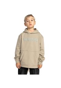 DC Shoes - Bluza z kapturem dla Chłopcy MORTAR Beżowy. Typ kołnierza: kaptur. Kolor: beżowy. Materiał: materiał, bawełna. Sport: skateboard