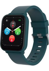 Smartwatch Canyon CANYON Smartwatch Easy SW-54 Zielony. Rodzaj zegarka: smartwatch. Kolor: zielony