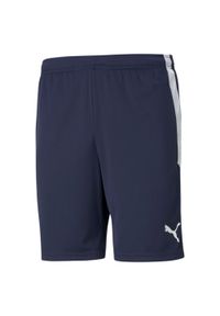 Spodenki treningowe męskie Puma teamLIGA. Kolor: niebieski, wielokolorowy, biały. Materiał: poliester. Długość: krótkie. Sport: piłka nożna #1