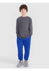 4f - 4F Longsleeve oversize z nadrukiem chłopięcy - granatowy 164 (13-14 lat). Okazja: na co dzień. Kolor: niebieski. Materiał: bawełna, tkanina, jersey. Długość rękawa: długi rękaw. Długość: długie. Wzór: nadruk. Sezon: lato. Styl: klasyczny, elegancki, sportowy, casual