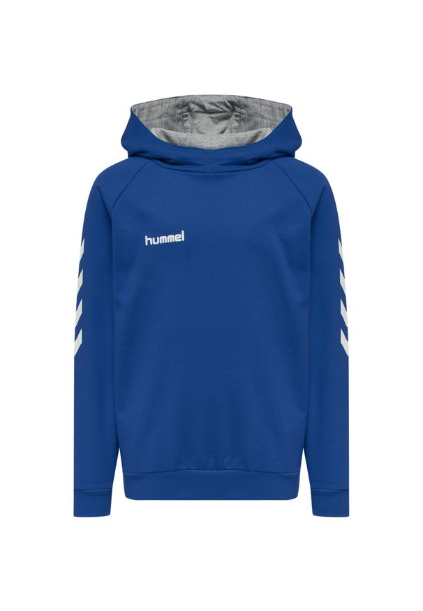 Bluza sportowa z kapturem dla dzieci Hummel Go Kids Cotton Hoodie. Typ kołnierza: kaptur. Kolor: niebieski, biały, wielokolorowy