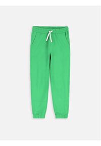 COCCODRILLO - Coccodrillo Spodnie dresowe ZC3120101VBB Zielony Slim Fit. Kolor: zielony. Materiał: bawełna, dresówka