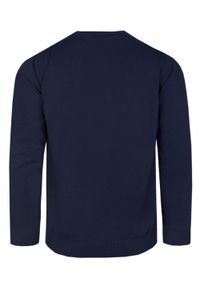 Klasyczny Sweter Męski - Rigon - Bawełna - Granatowy. Kolor: niebieski. Materiał: bawełna. Wzór: nadruk. Styl: klasyczny #2