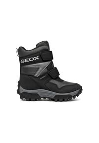 Dziecięce buty zimowe Geox Himalaya. Kolor: szary, wielokolorowy, brązowy, czarny. Sezon: zima