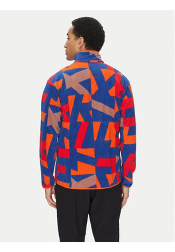 Adidas - adidas Polar Terrex Multi Printed JE3917 Kolorowy Regular Fit. Materiał: syntetyk. Wzór: kolorowy