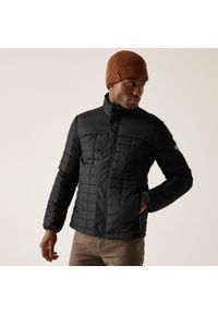 Regatta - Kurtka męska przejściowa Haire. Kolor: czarny. Materiał: tkanina, puch, polar, materiał. Sport: turystyka piesza #1