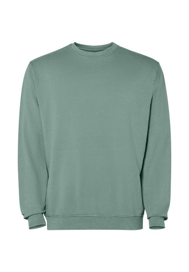 ROLY - Bluza Unisex Dla Dorosłych Jaya Z Okrągłym Dekoltem. Kolor: zielony