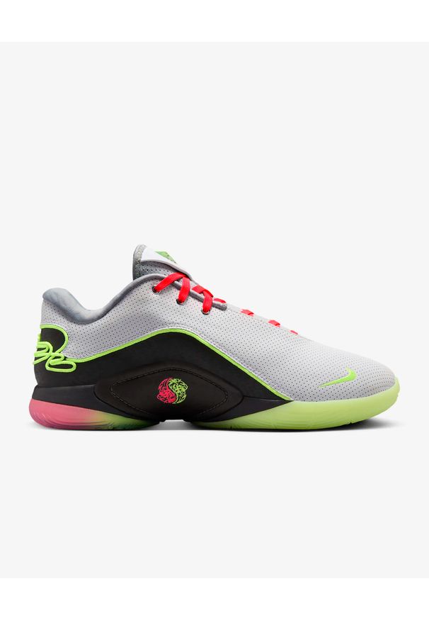 Nike LeBron XXII „Crown Jewel” Buty męskie do koszykówki. Materiał: materiał. Szerokość cholewki: normalna. Model: Nike Zoom. Sport: koszykówka