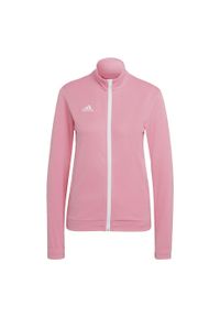 Adidas - Entrada 22 Track Jacket. Kolor: różowy. Materiał: materiał. Sport: piłka nożna