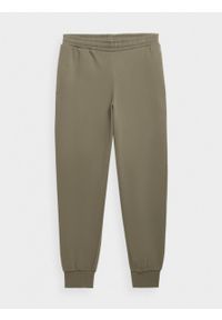 outhorn - Spodnie dresowe męskie - khaki. Kolor: brązowy. Materiał: dresówka