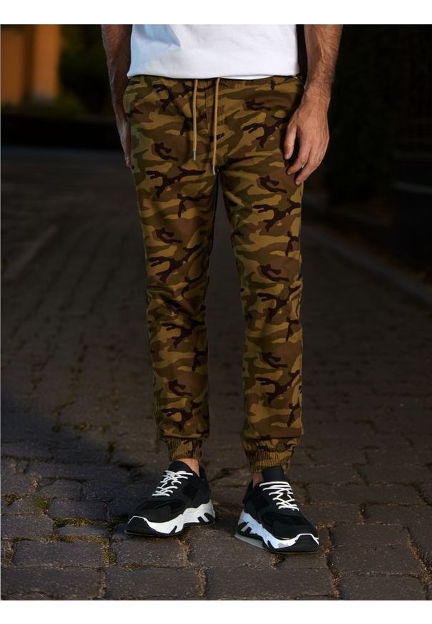 Sinsay - Spodnie jogger - wielobarwny. Materiał: bawełna, materiał. Wzór: moro