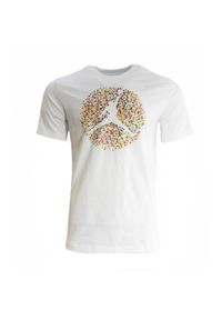 Koszulka sportowa męska Air Jordan Flight Essentials biała - FN6006-100. Kolor: biały. Sport: koszykówka #1