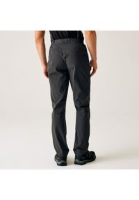 Regatta - Męskie spodnie podróżne Light Packaway. Kolor: szary. Sezon: lato. Sport: turystyka piesza #2