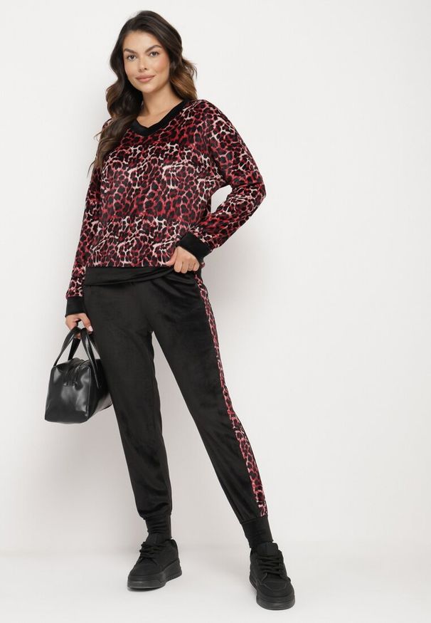 Born2be - Czerwono-Czarny Welurowy Komplet Dresowy w Panterkę Bluza i Spodnie z Lampasami Avathirae. Kolor: czerwony. Materiał: dresówka, welur. Wzór: motyw zwierzęcy