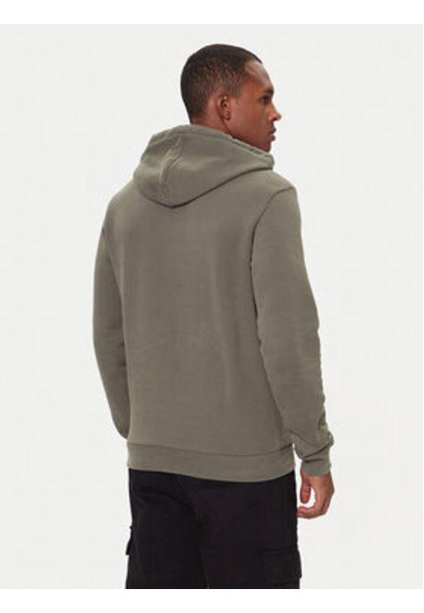 Napapijri Bluza Burgee Wint 4 NP0A892T Zielony Regular Fit. Kolor: zielony. Materiał: bawełna