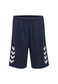 Spodenki dziecięce Hummel Basket. Kolor: niebieski. Materiał: materiał. Styl: sportowy. Sport: koszykówka #1