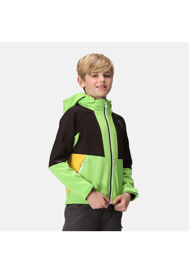 Haydenbury Regatta dziecięcy turystyczny softshell z kapturem. Typ kołnierza: kaptur. Kolor: zielony. Materiał: poliester, elastan