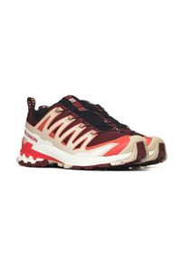 salomon - Buty trekkingowe męskie Salomon Xa Pro 3d V9 Fired. Kolor: wielokolorowy. Materiał: materiał, syntetyk. Szerokość cholewki: normalna. Sport: turystyka piesza
