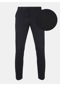 Pako Lorente - Spodnie męskie garniturowe FENREI PLM-6G-195-C. Materiał: poliester, wiskoza. Wzór: gładki. Styl: elegancki #1