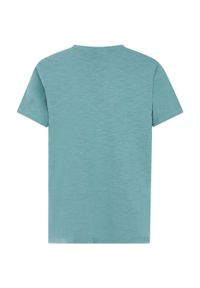 Protest - T-Shirt chłopięcy junior PROTEST PRTPeter. Kolor: wielokolorowy, niebieski, zielony