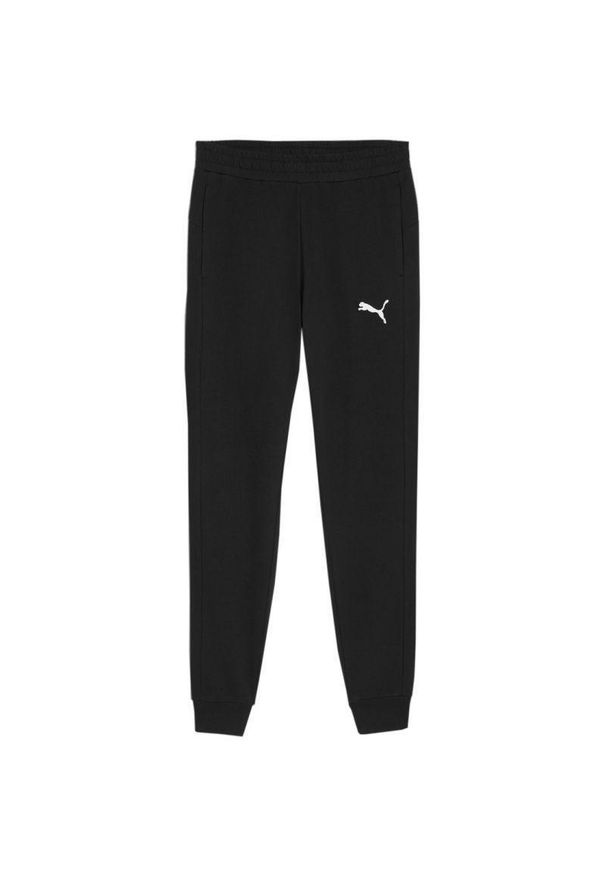 Puma - Męskie Spodnie Do Biegania Team Goal. Kolor: czarny. Sport: fitness