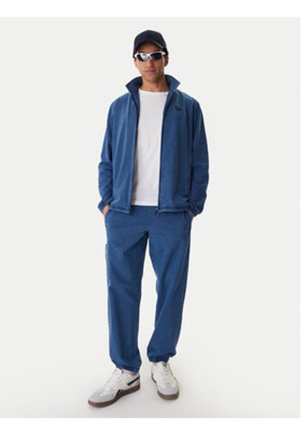 Reebok Spodnie dresowe Ambrose RK25543CCM Niebieski Regular Fit. Kolor: niebieski. Materiał: bawełna