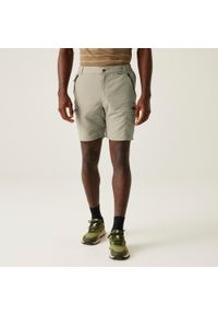 Regatta - Leesville II męskie spodenki trekkingowe. Kolor: beżowy. Materiał: poliester, materiał. Sport: turystyka piesza #1