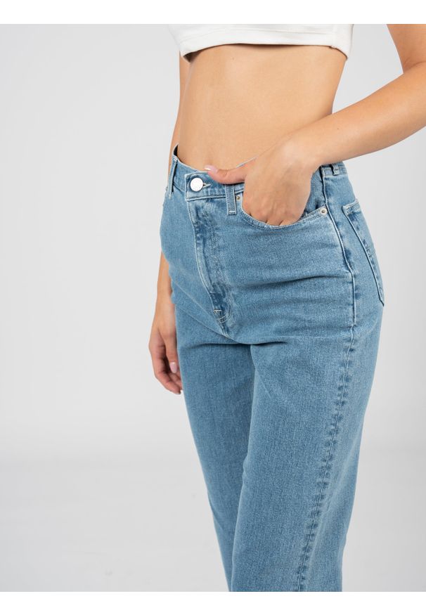 TOMMY HILFIGER - Tommy Jeans Jeansy "Harper" | DW0DW12171 | Harper | Kobieta | Błękitny. Stan: podwyższony. Kolor: niebieski. Wzór: aplikacja