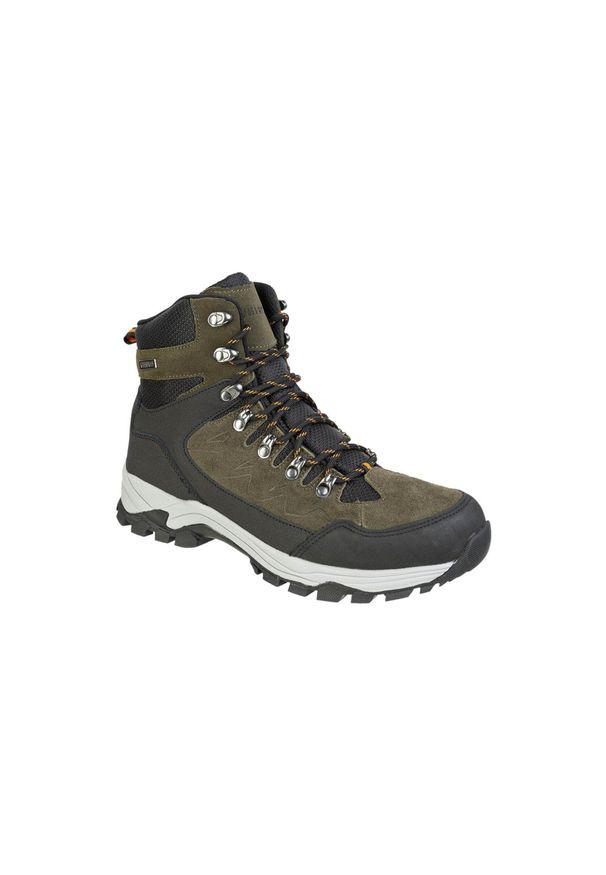 Buty trekkingowe Whistler Detion WP. Kolor: zielony. Sport: turystyka piesza
