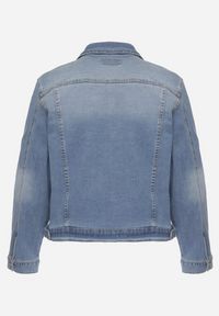 Born2be - Jasnoniebieska Jeansowa Kurtka z Bawełną Ozdobiona Przetarciami Ziarina. Okazja: na co dzień. Kolor: niebieski. Materiał: bawełna, jeans. Wzór: aplikacja. Styl: klasyczny, elegancki, casual #5