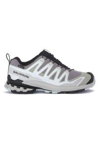 salomon - Buty trekkingowe damskie Salomon Xa Pro 3d V9 Gtx W. Kolor: wielokolorowy. Materiał: skóra. Szerokość cholewki: normalna #1