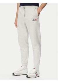 Tommy Jeans Spodnie dresowe DM0DM23903 Szary jasny Regular Fit. Kolor: szary. Materiał: bawełna #1