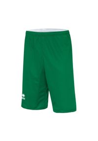 ERREA - Szorty Errea Chicago. Kolor: zielony, biały, wielokolorowy. Sport: koszykówka #1