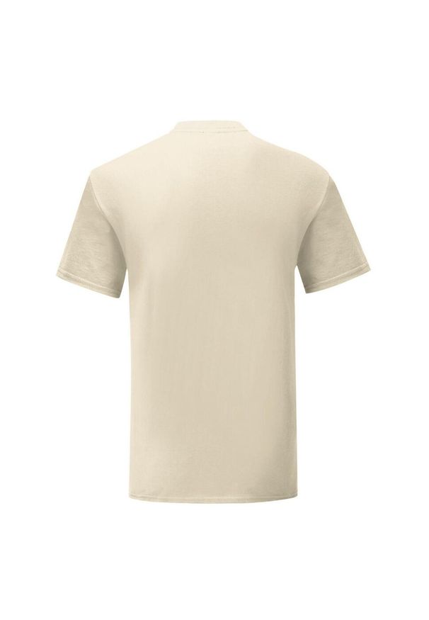 FRUIT OF THE LOOM - Kultowa Koszulka Unisex Dla Dorosłych. Kolor: szary, beżowy, wielokolorowy. Sport: turystyka piesza